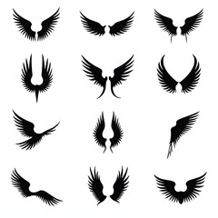 Obraz premium Vector