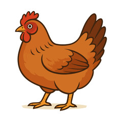 hen vector illustrator