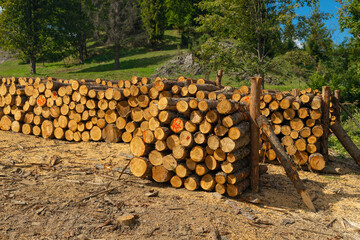 Large piles of freshly sawn timber are stacked on a clearing in a hilly forest area. Surrounded by...