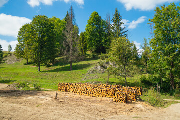 Large piles of freshly sawn timber are stacked on a clearing in a hilly forest area. Surrounded by...