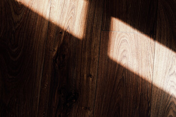 Sunlight creates patterns on dark wooden floor creating a warm atmosphere in a cozy space