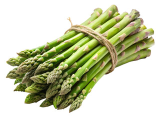 Photo of a bundle of fresh green asparagus spears tied with twine isolated on transparent background