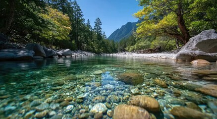 A river with clear water, the camera is looking at an underwater view of pebbles and rocks in the bottom half of the frame
