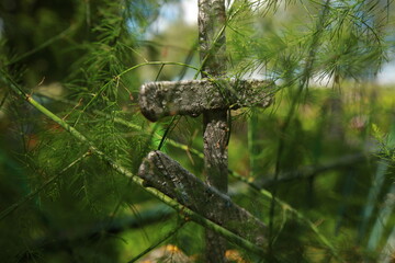 old cracked cross gravestone in cemetery