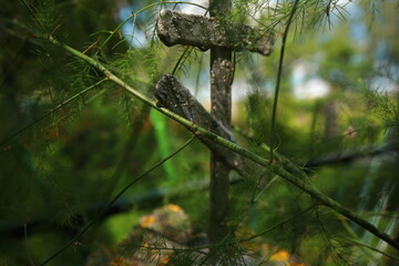 old cracked cross gravestone in cemetery