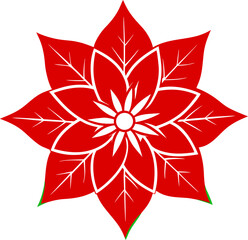 red and white flower