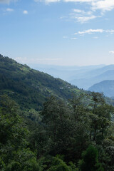Fototapeta premium Scenic beauty of Green forests of Himalayan mountains, Okhrey, sikkim, India. Okhrey village is remote place in Sikkim where peaceful, tranquil Himalayan mountain range is enjoyed by tourists.