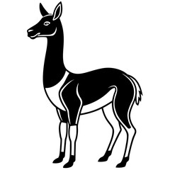 Vicuna vector silhouette black design white background