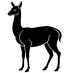 Vicuna vector silhouette black design white background
