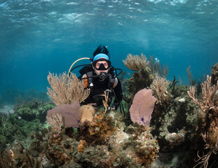 Buzo en arrecife de coral
