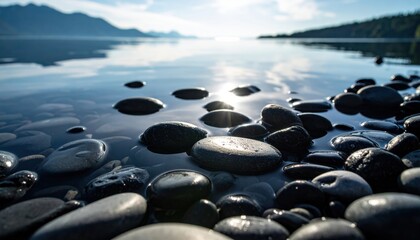 Calm Lakeside Pebbles Reflecting Sunlight