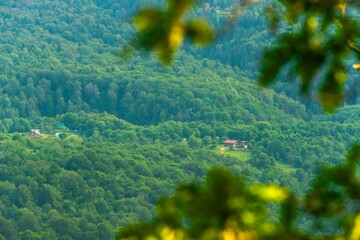 a pair of secluded farms surrounded by green deciduous forest in the vicinity of the village of...