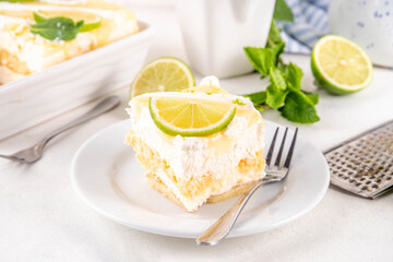Summer mojito tiramisu dessert, Lime and mint sweet sour taste version of summer tiramisu cake with fresh citrus curd, mascarpone and savoyardi