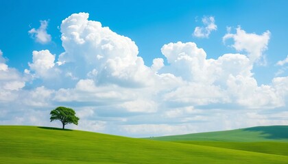 Rolling green hills under a bright blue sky with fluffy white clouds; a single tree stands in a grassy field ,  grass,  landscape