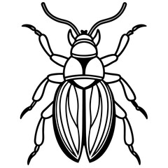 Beetle line art vector
