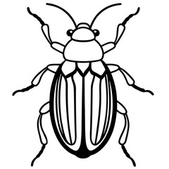 Beetle line art vector