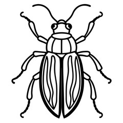 Beetle line art vector