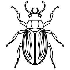 Beetle line art vector