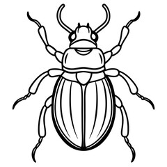 Beetle line art vector