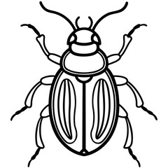 Beetle line art vector