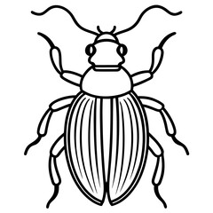 Beetle line art vector