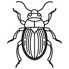 Beetle line art vector