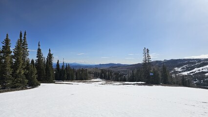 Obraz premium Snow Landscape
