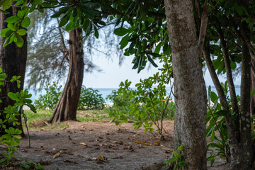 Sirinat National Park in Phuket Province, Thailand. This park with sections on land and sea is in the northwest of island of Phuket