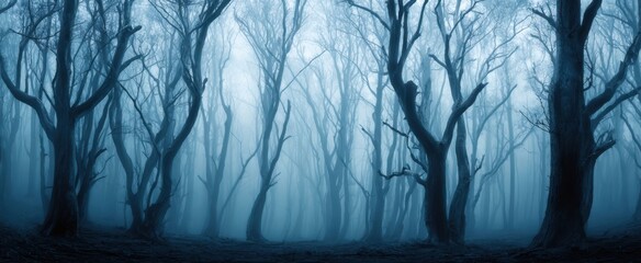 The haunting beauty of a foggy forest with twisted trees and mysteries.