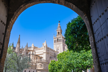 A picturesque view of the historic Giralda Tower and the grand Seville Cathedral seen through an...