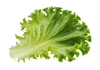 A single, fresh, vibrant green lettuce leaf with wavy, frilly edges and a crisp, textured surface, isolated on a transparent background with bright studio light. Concept for food advertising