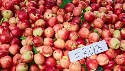 Group of colorful nectarine fruits sale on the farm market
