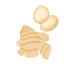 Simple vector illustration of ginger