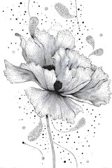 Obraz premium Floating Poppy