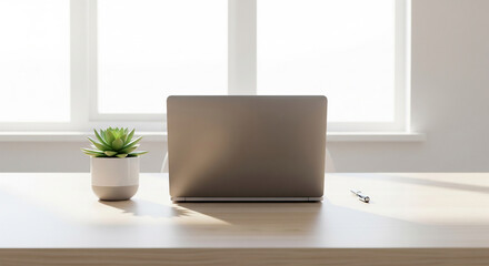 Obraz premium Minimalist Workspace: Laptop, Succulent, and Pen in Sunlight