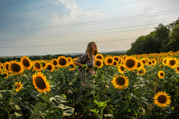 young blond woman stands in sunflower field, profile, view from afar, full length, evening sun,...