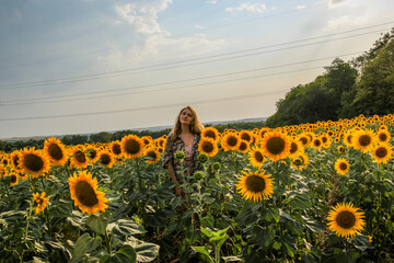 young blonde woman standing in sunflower field, full face, distant view, waist-length portrait, large yellow flowers, posing, smiling, summer, model, 