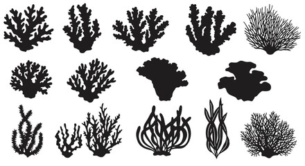 Silhouette coral set: marine life collection for design