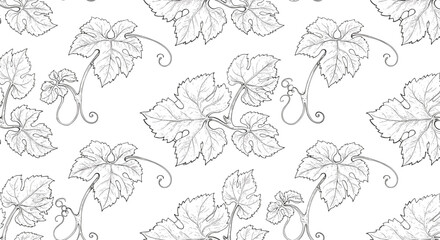 Fototapeta premium Seamless pattern of vine leaves in detailed sketch style on white background