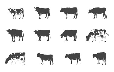 Dairy cow silhouette, Dairy cow svg, Holstein cow svg, Holstein cow silhouette, Dairy cow vector, Dairy cow clipart, Holstein dairy cow silhouette.