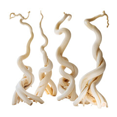 Obraz premium Creamy White Twisted Roots, Abstract Nature Still Life, Elegant and Organic Design, Isolated on Black Background