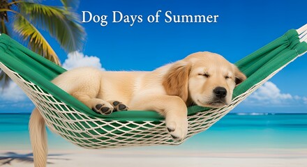 Golden Retriever Puppy Lounging on Green Hammock by Tropical Beach with “Dog Days of Summer” Text — Playful Summer Illustration for Pet-Themed Promotions, Vacation Branding, and Whimsical Design Asset
