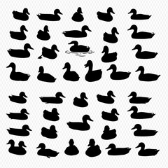 Black silhouettes of various ducks in a grid pattern, showcasing different poses and orientations.