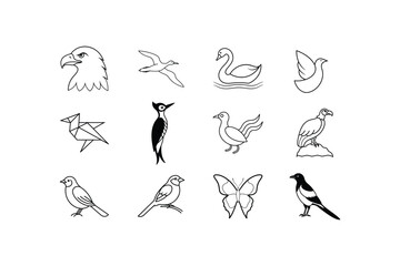 the bird an vector art on white background 