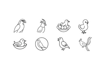 the bird an vector art on white background 