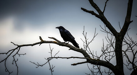 A solitary raven perched on a bare tree branch, with a grey, ominous autumn sky in the background. The image conveys a sense of foreboding and dark melancholy.
