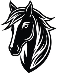 A black and white horse head is isolated on white background, showcasing its beauty