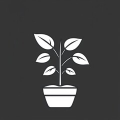 Pot plant outline icon with linear style . Plant in pot simple line vector icon for mobile concept and web design. Single potter plan.