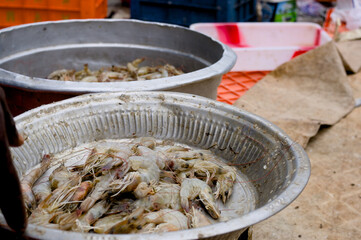 Fresh shrimp baskets at seafood market in early morning