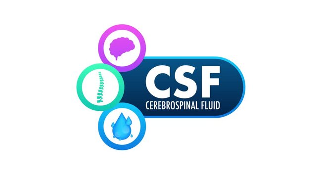 Cerebrospinal Fluid - CSF - Medical Animated Logo on White and Green Screen